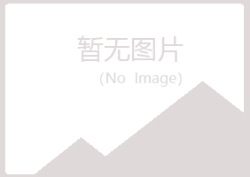 乌兰县紫山计算机有限公司